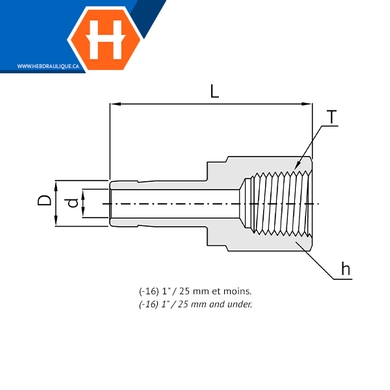 Adaptateur Hy-Lok SS316 tube lisse x F.NPT