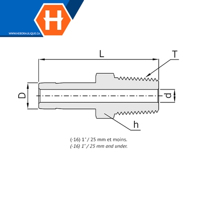Adaptateur Hy-Lok SS316 tube lisse x M.NPT