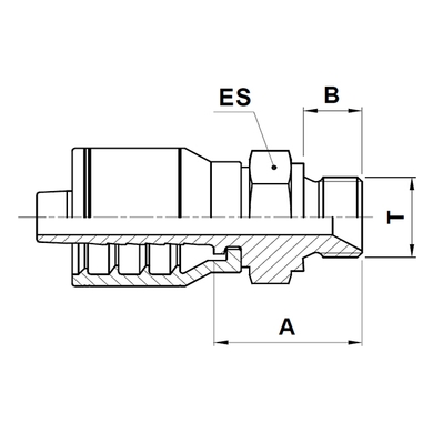 Male BSPP 1pc fitting